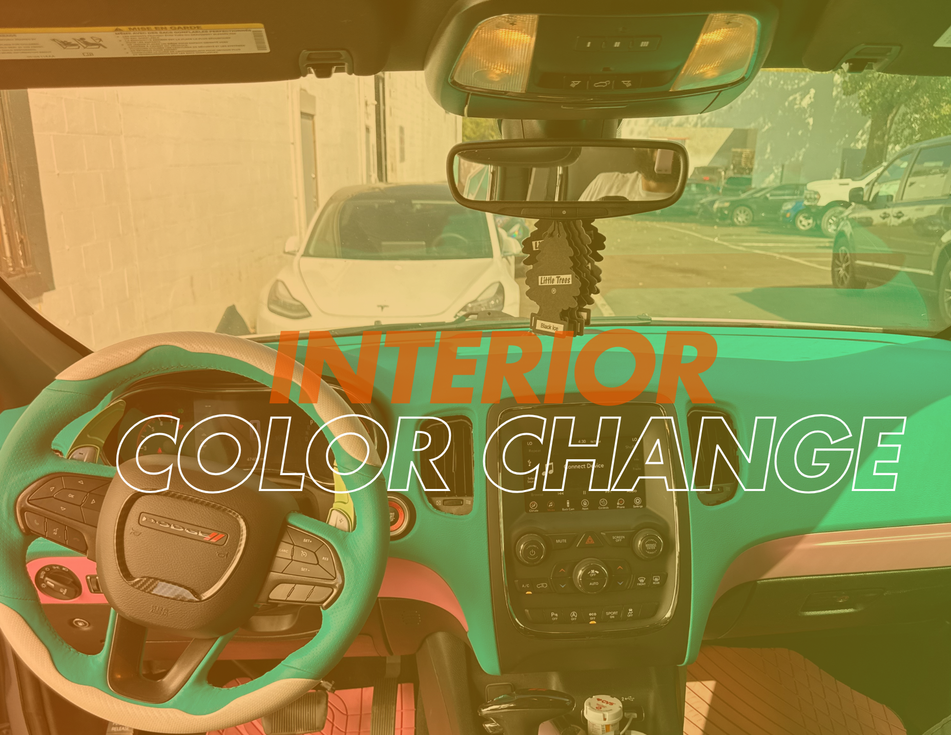 Blue And Pink interior