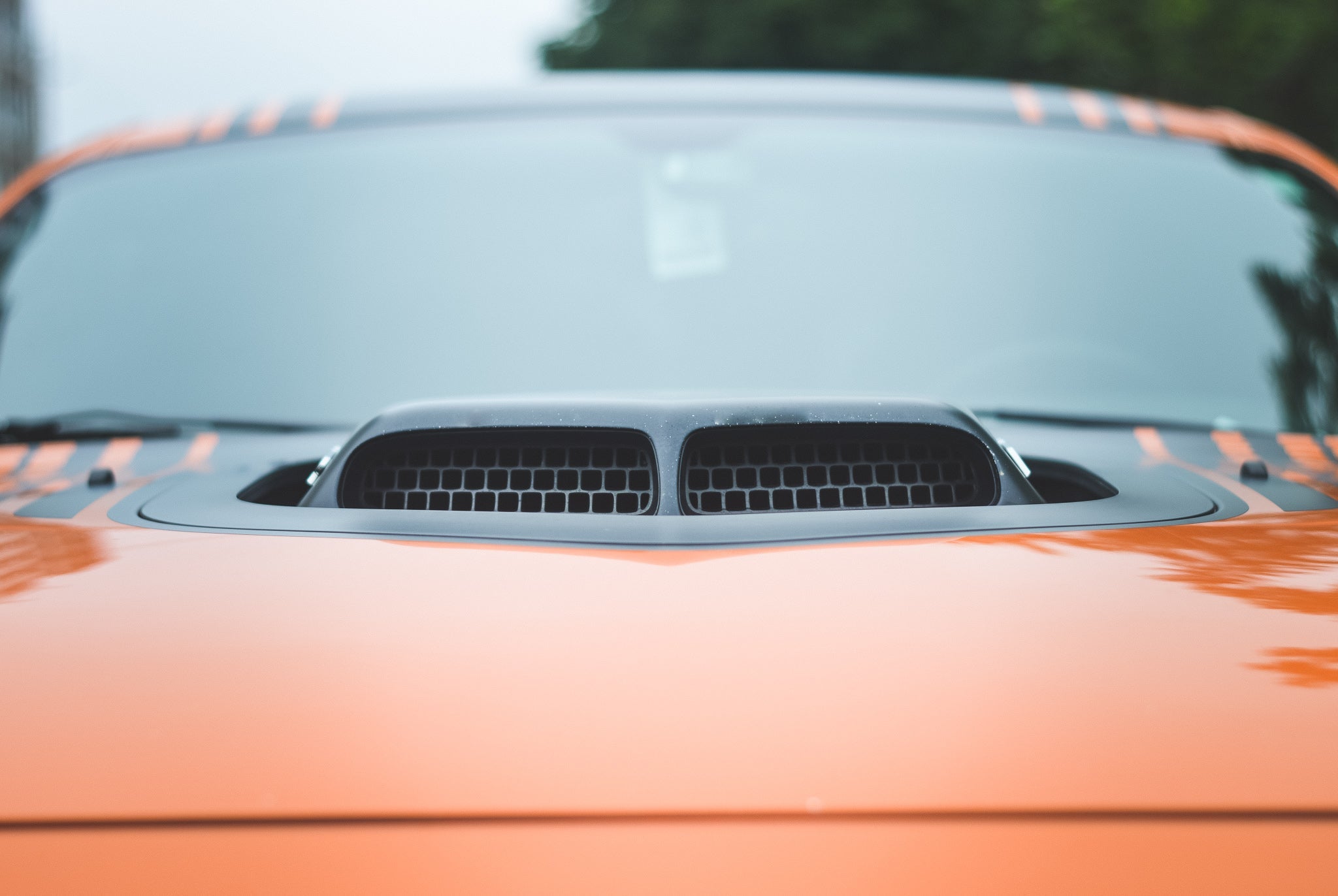 orange sedan front windshield tint