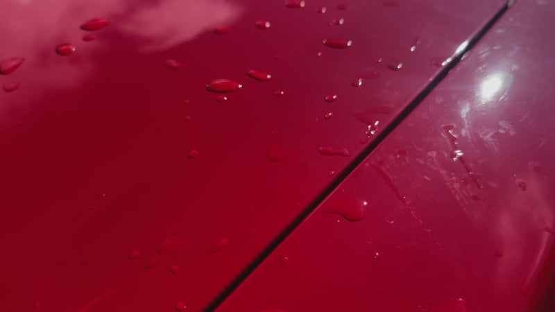 alt="Full windshield tint preventing fading and cracking of car dashboard"